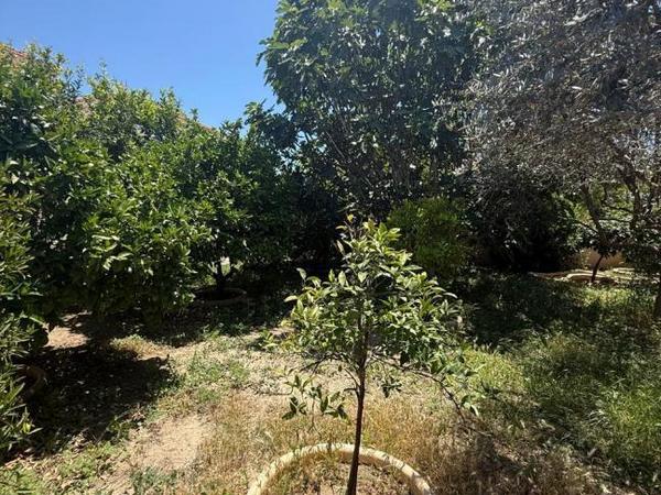 4 bedroom town house for sale kiti larnaca 8705298 image 16249888