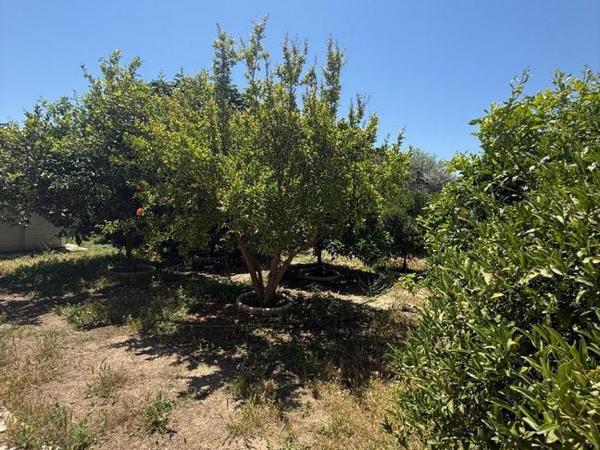 4 bedroom town house for sale kiti larnaca 8705298 image 16249900
