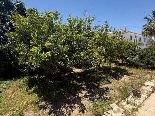 4 bedroom town house for sale kiti larnaca 8705298 image 16249904