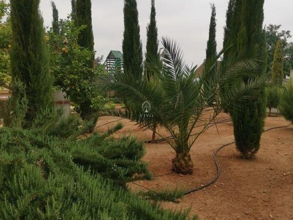 5 bedroom detached house for sale kato polemidia limassol 979298 image 9916386