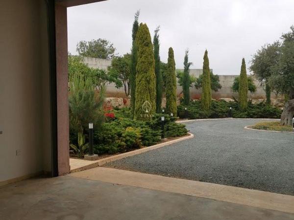 5 bedroom detached house for sale kato polemidia limassol 979298 image 9916417