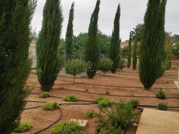 5 bedroom detached house for sale kato polemidia limassol 979298 image 9916426