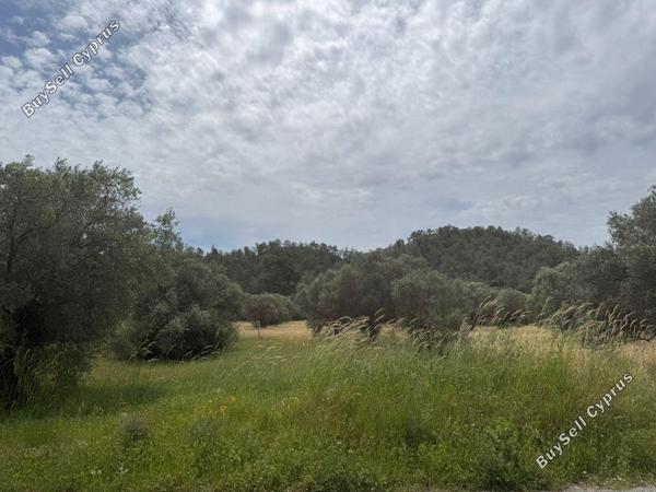 land for sale kornos larnaca 8509298 image 15553946