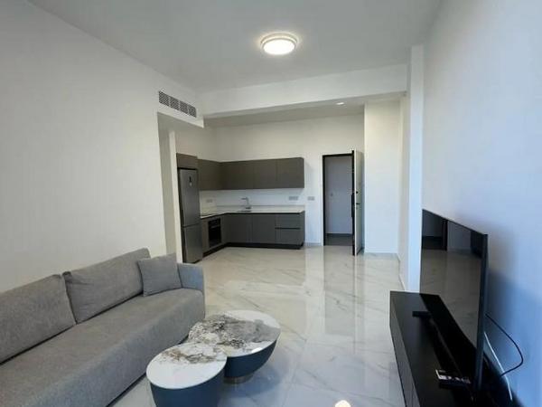 1 bedroom apartment for rent potamos germasogeias limassol 8376398 image 16331953