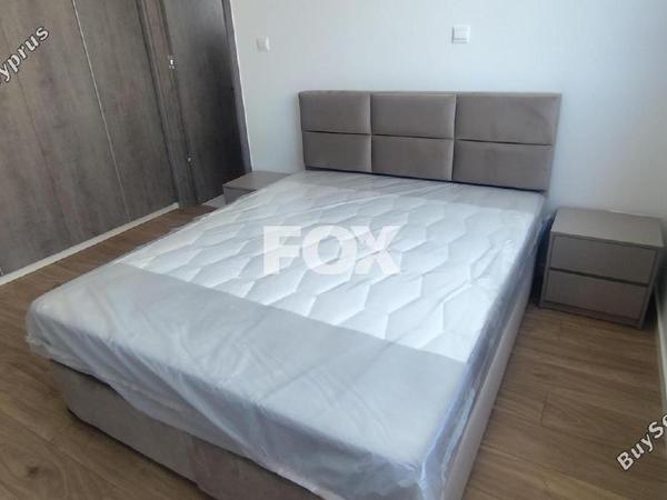 2 bedroom apartment for rent petrou kai pavlou limassol 8664398 image 16295494