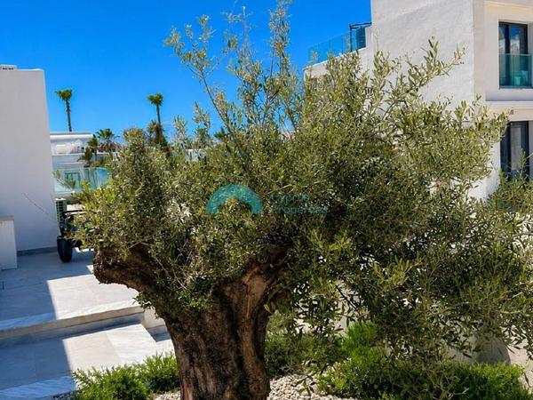 4 bedroom detached house for rent kissonerga paphos 8758398 image 16548068