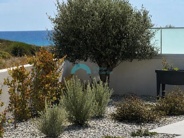 4 bedroom detached house for rent kissonerga paphos 8758398 image 16548070