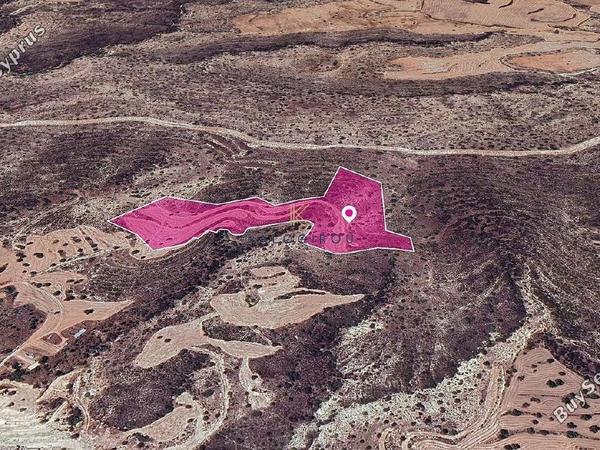 land for sale agios theodoros larnacas larnaca 1650398 image 5669369