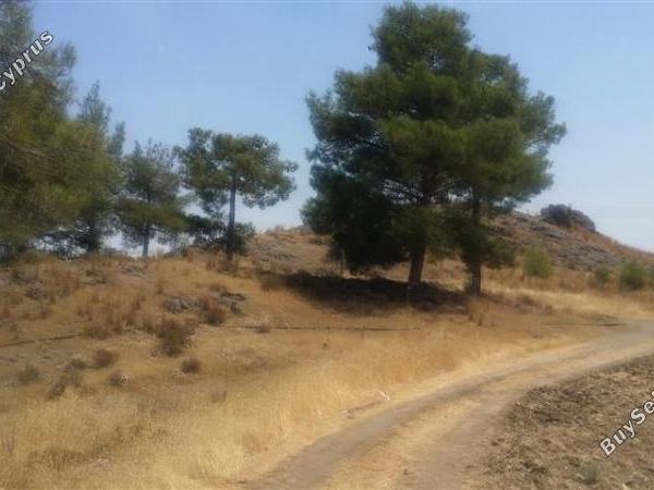 land for sale lythrodontas nicosia 1098398 image 16175880