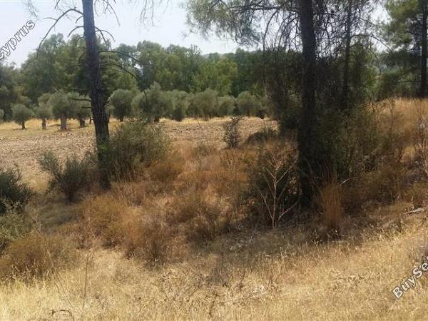 land for sale lythrodontas nicosia 1098398 image 16175883