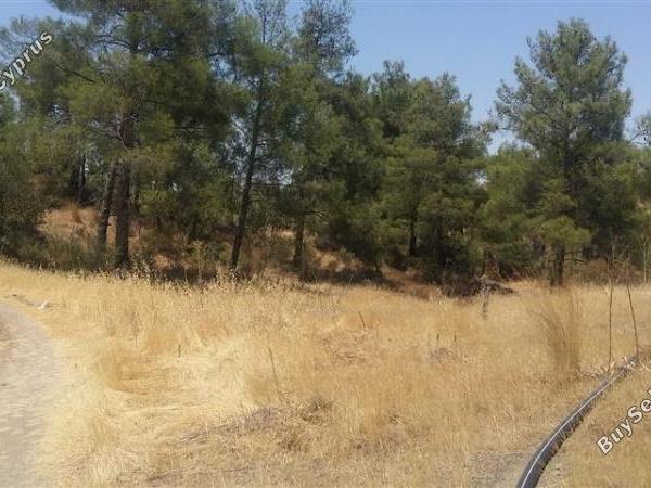 land for sale lythrodontas nicosia 1098398 image 16175885