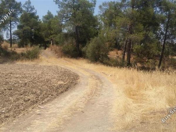 land for sale lythrodontas nicosia 1098398 image 16175888
