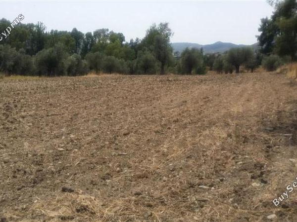 land for sale lythrodontas nicosia 1098398 image 16175891