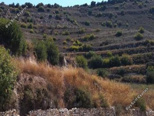 land for sale pachna limassol 967398 image 17158565