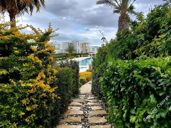 3 bedroom detached house for sale peyia paphos 7766498 image 10345243