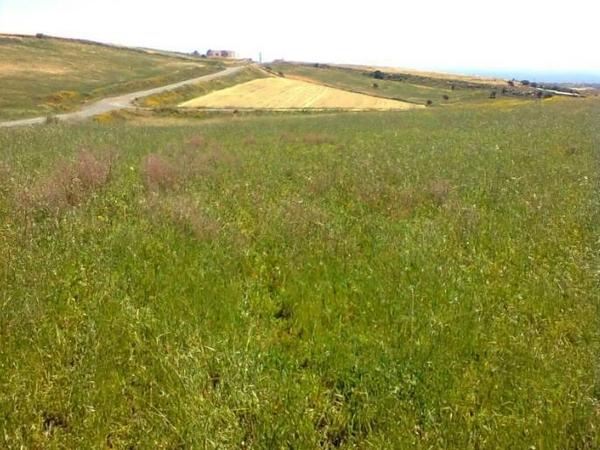 land for sale anarita paphos 8395498 image 16071244