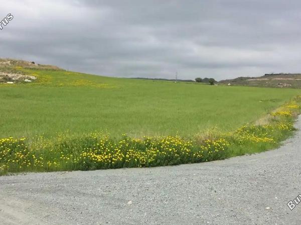 land for sale anarita paphos 8395498 image 16071245
