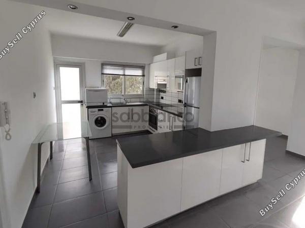 2 bedroom apartment for rent strovolos nicosia 8749598 image 16477202