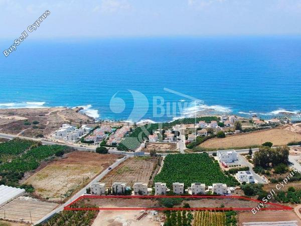 3 bedroom detached house for sale kissonerga paphos 8443598 image 15119443