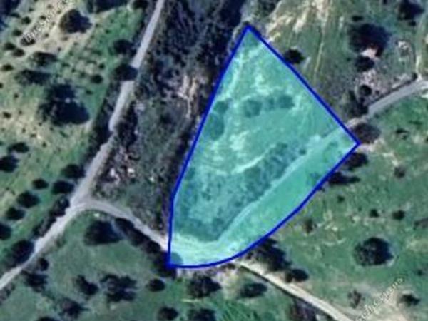 land for sale paramytha limassol 1839598 image 6568447