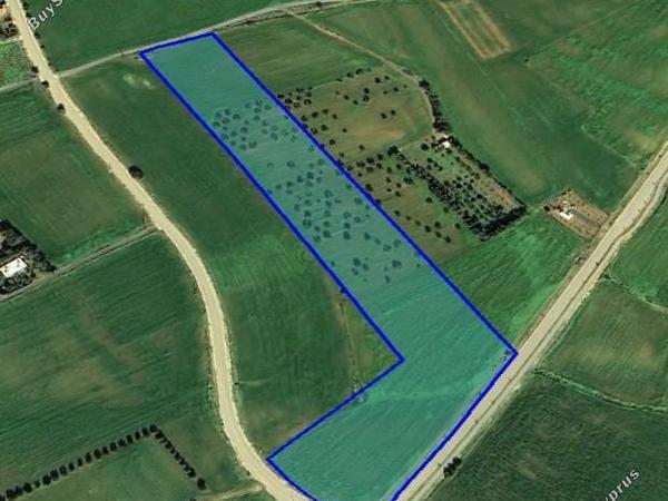 land for sale softades larnaca 1850598 image 6691773