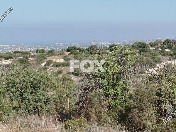 land for sale tala paphos 1896598 image 7203781