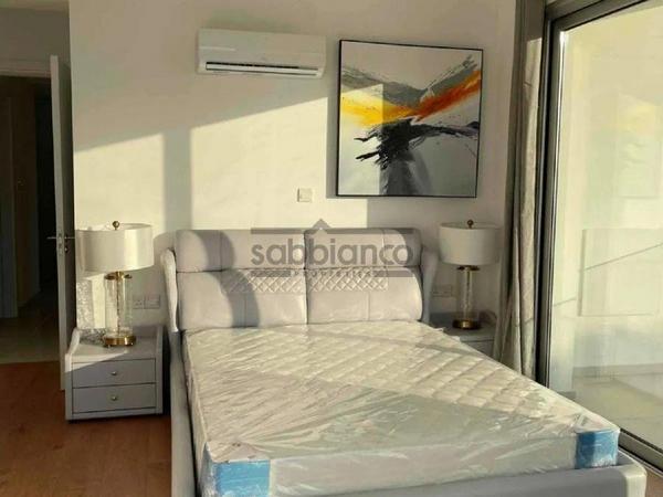 3 bedroom detached house for sale chlorakas paphos 8736698 image 16349951