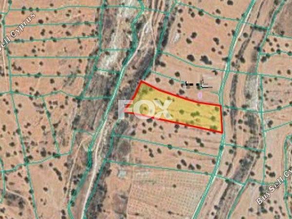land for sale pachna limassol 1147698 image 5527250