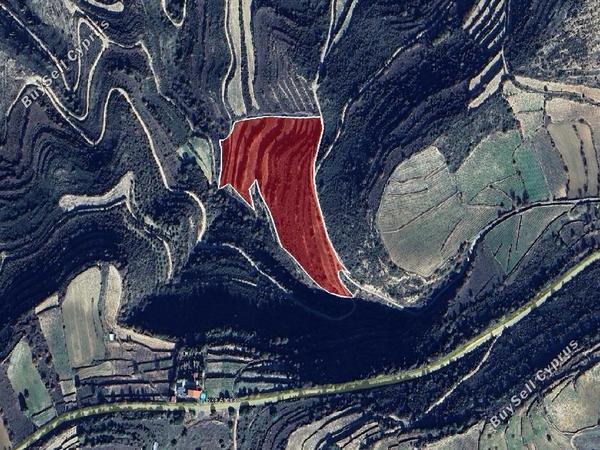 land for sale pachna limassol 8274698 image 13976432
