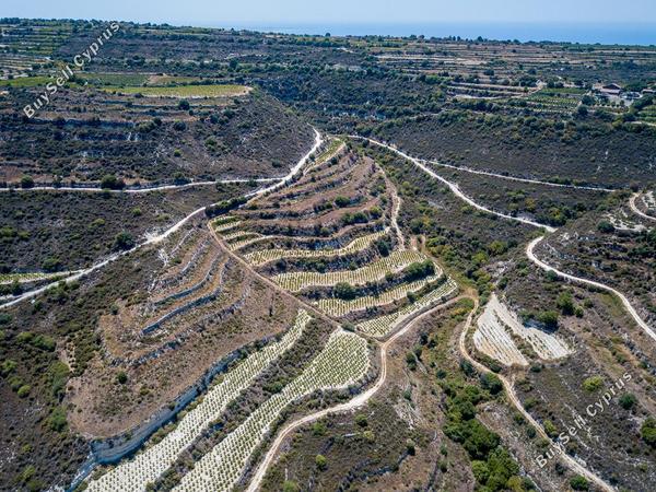 land for sale pachna limassol 8274698 image 13976434