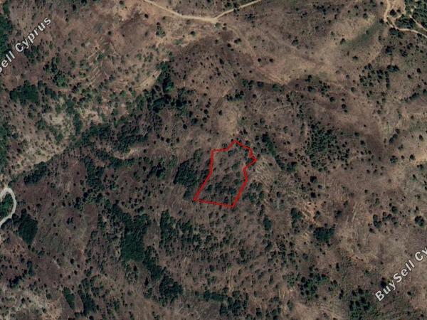 land for sale pedoulas nicosia 880698 image 15664171