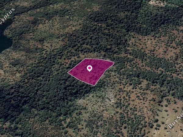 land for sale pigenia nicosia 8629698 image 15869576
