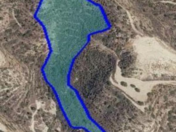 plot for sale palodeia limassol 8705698 image 16260504