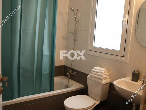 2 bedroom apartment for rent paphos municipality paphos 8597798 image 15755897