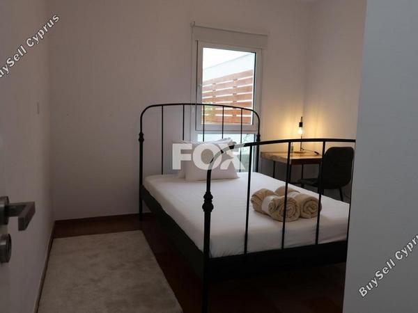 2 bedroom apartment for rent paphos municipality paphos 8597798 image 15755907