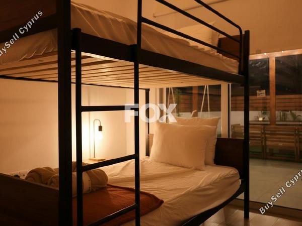 2 bedroom apartment for rent paphos municipality paphos 8597798 image 15755910