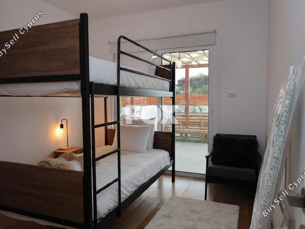 2 bedroom apartment for rent paphos municipality paphos 8597798 image 15755911