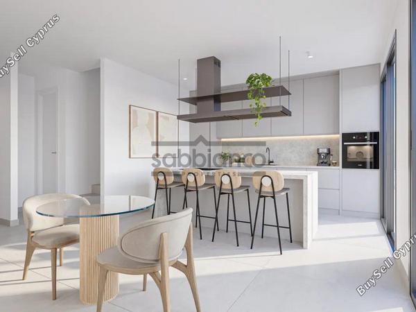 3 bedroom detached house for sale mesogi paphos 8740798 image 16386187