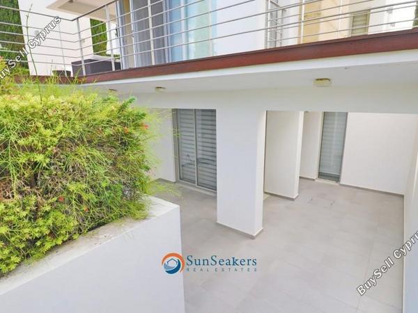 4 bedroom detached house for sale latsi paphos 8529798 image 15457468