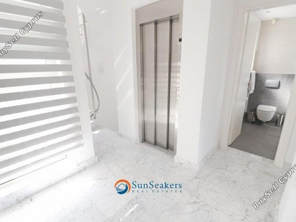4 bedroom detached house for sale latsi paphos 8529798 image 15457496