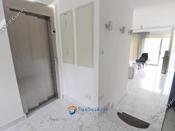 4 bedroom detached house for sale latsi paphos 8529798 image 15457498