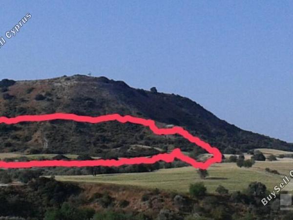 land for sale alaminos larnaca 7905798 image 16278886
