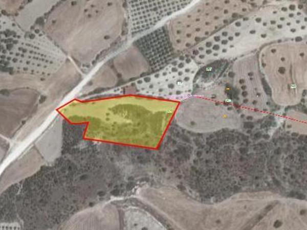 land for sale alaminos larnaca 7905798 image 16278888