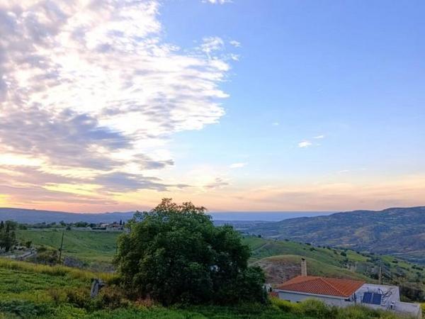 land for sale lasa paphos 7898798 image 11092570