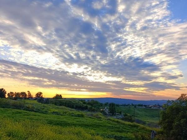 land for sale lasa paphos 7898798 image 11092572