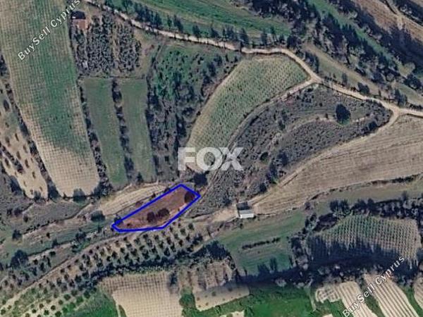 land for sale letymvou paphos 8874798 image 17229455