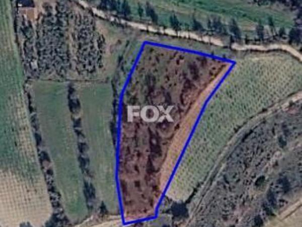 land for sale letymvou paphos 8874798 image 17229456
