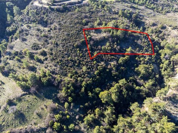 land for sale mousere paphos 839798 image 5481209