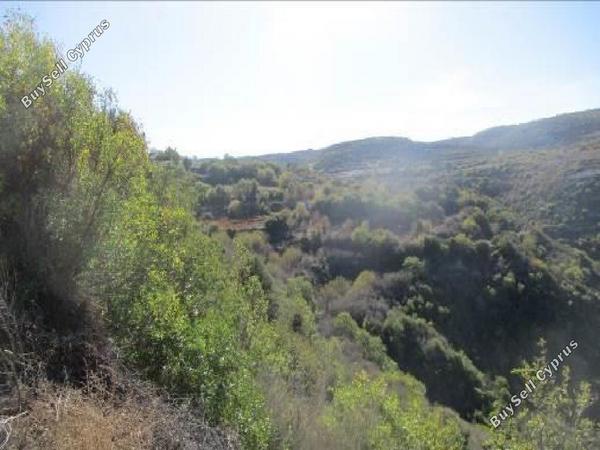 land for sale pano akourdalia paphos 869798 image 15600156