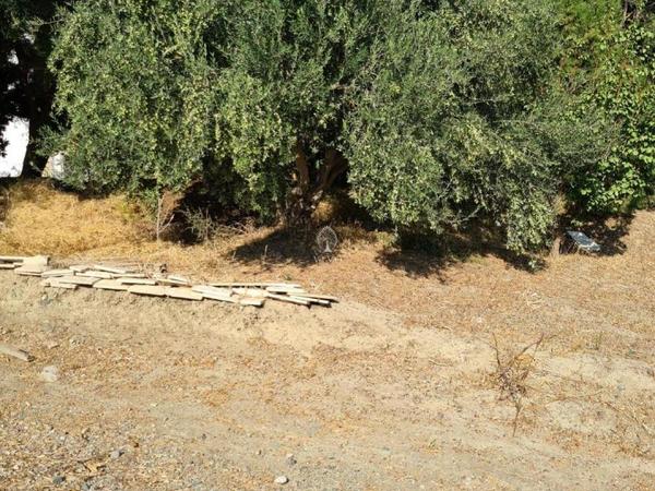 3 bedroom detached house for sale moni limassol 979898 image 9395933
